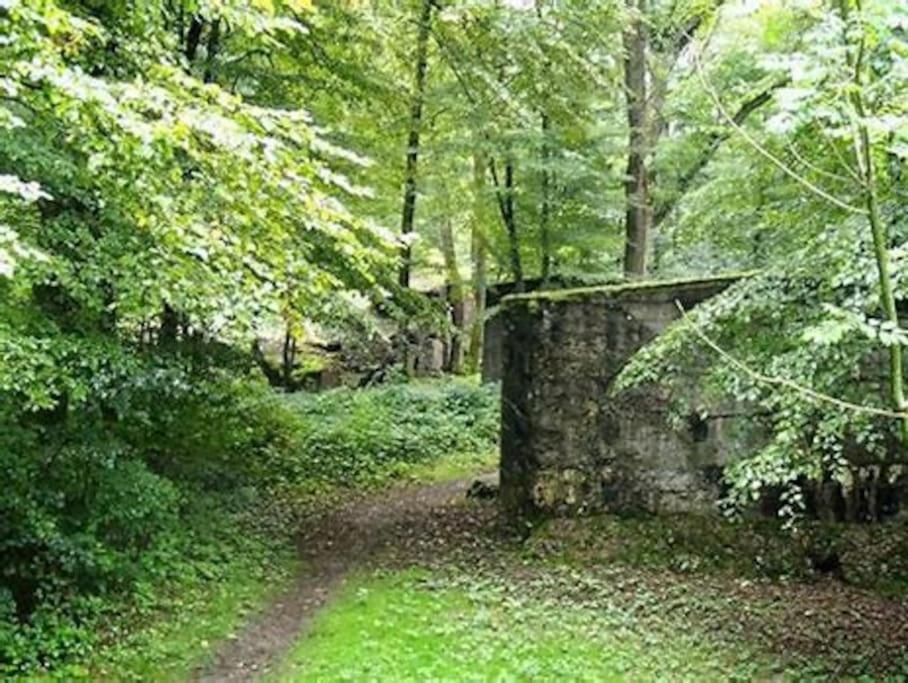 Gite Cosy Pour 2 A 4 Personnes, Village Proche Mulhouse Burnhaupt-le-Bas ภายนอก รูปภาพ
