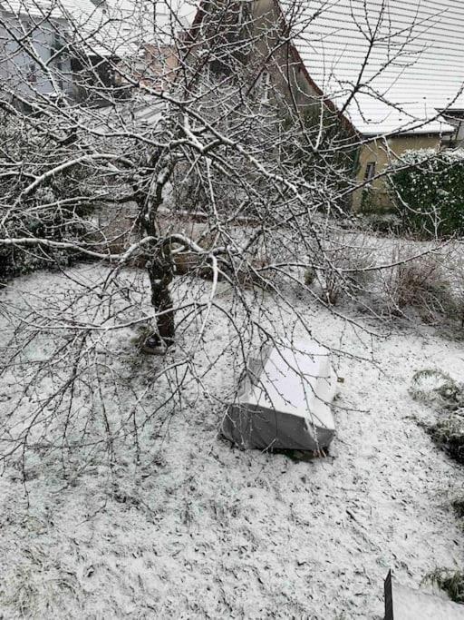 Gite Cosy Pour 2 A 4 Personnes, Village Proche Mulhouse Burnhaupt-le-Bas ภายนอก รูปภาพ