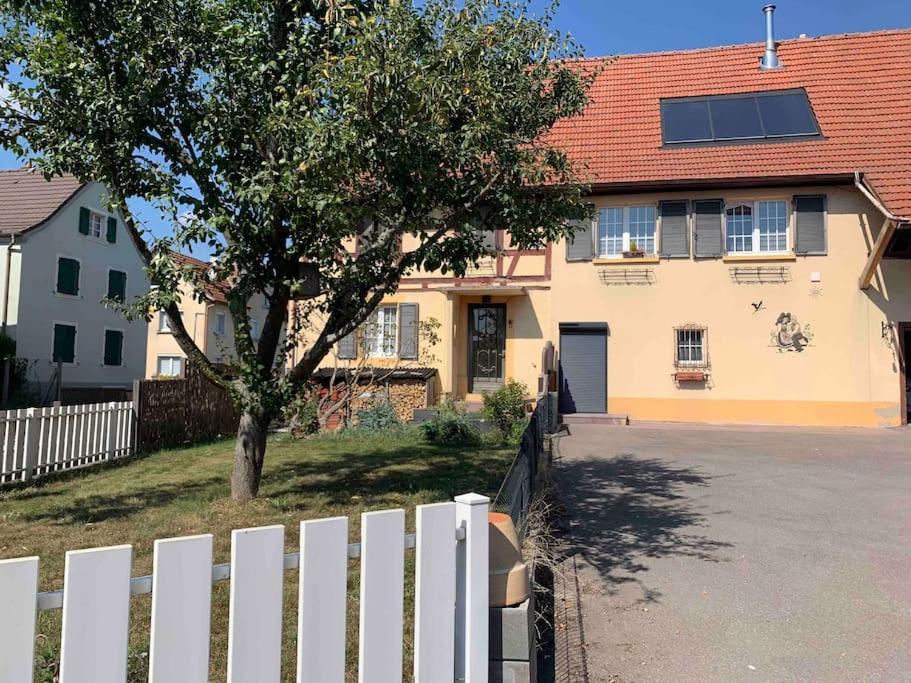 Gite Cosy Pour 2 A 4 Personnes, Village Proche Mulhouse Burnhaupt-le-Bas ภายนอก รูปภาพ